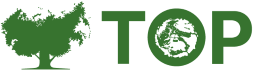 logo onetor